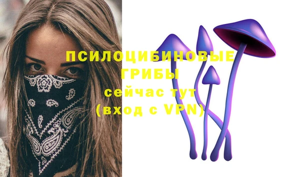 твердый Волоколамск