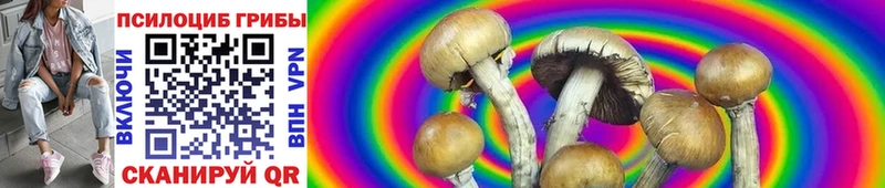 omg онион Ульяновск Псилоцибиновые грибы мухоморы